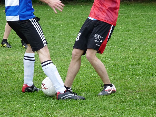 通过对这些 通过对这些