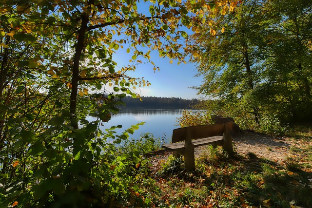 到来的两大 到来的两大